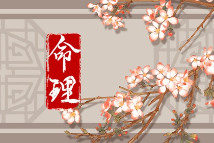 日历查询,2026年日历表,日历表日历